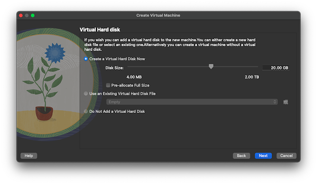 Allocated a virtual hard disk for the new VirtualBox VM